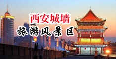 爱爱动态欧美自慰中国陕西-西安城墙旅游风景区